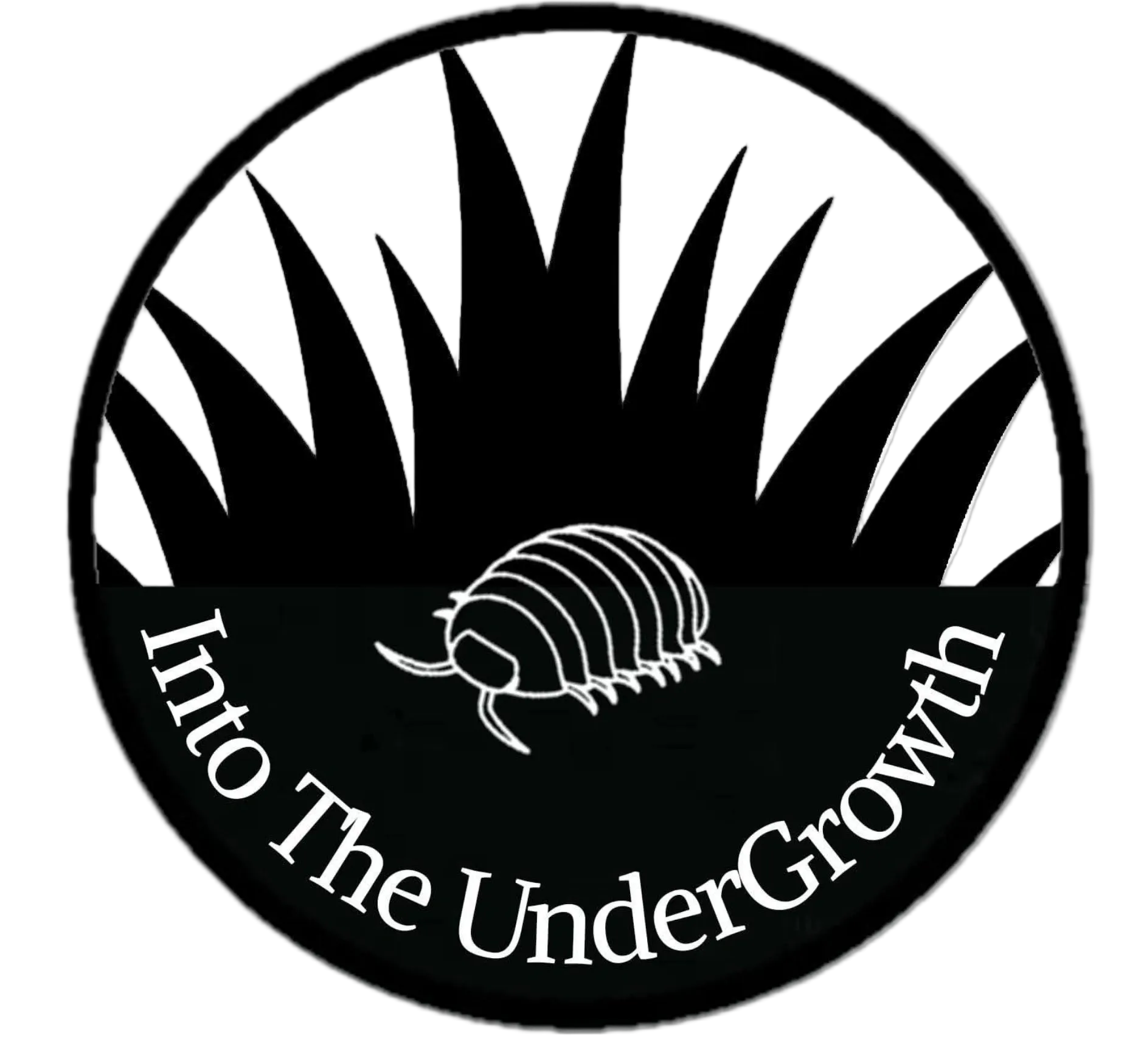 Into the undergrowth